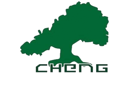shuaicheng logo